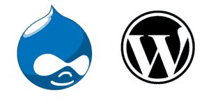 WordPress vs. Drupal : Advantages and Disadvantages of SEO