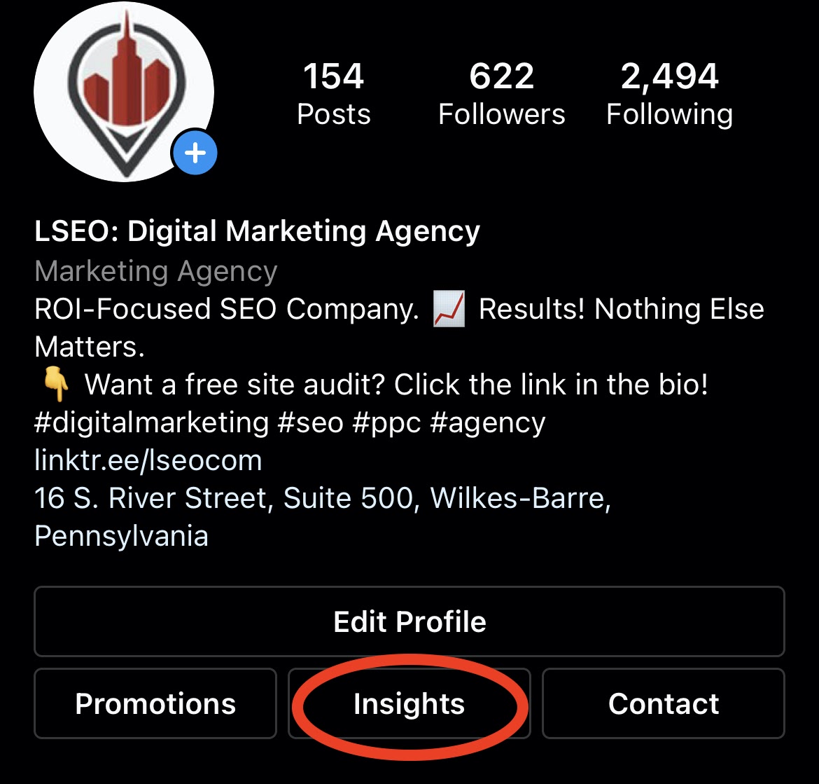 The Instagram Insights Button On LSEO's Profile