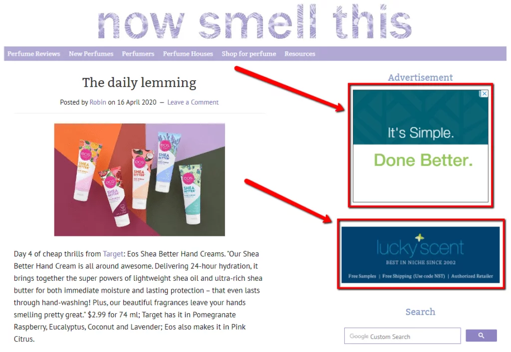 two examples of display ads on a blog