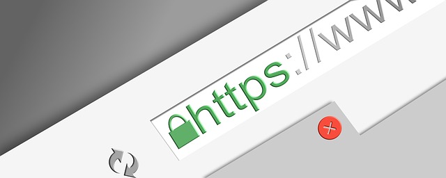 https protocol on a website