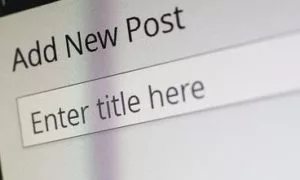 focus keywords should go in the titles on SEO content