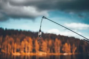 a fishing pole with bait