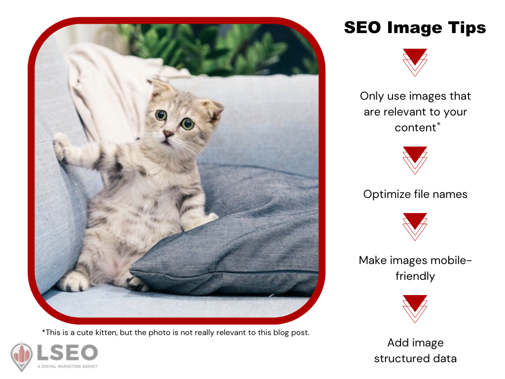 LSEO's best SEO image tips with a bonus cat picture