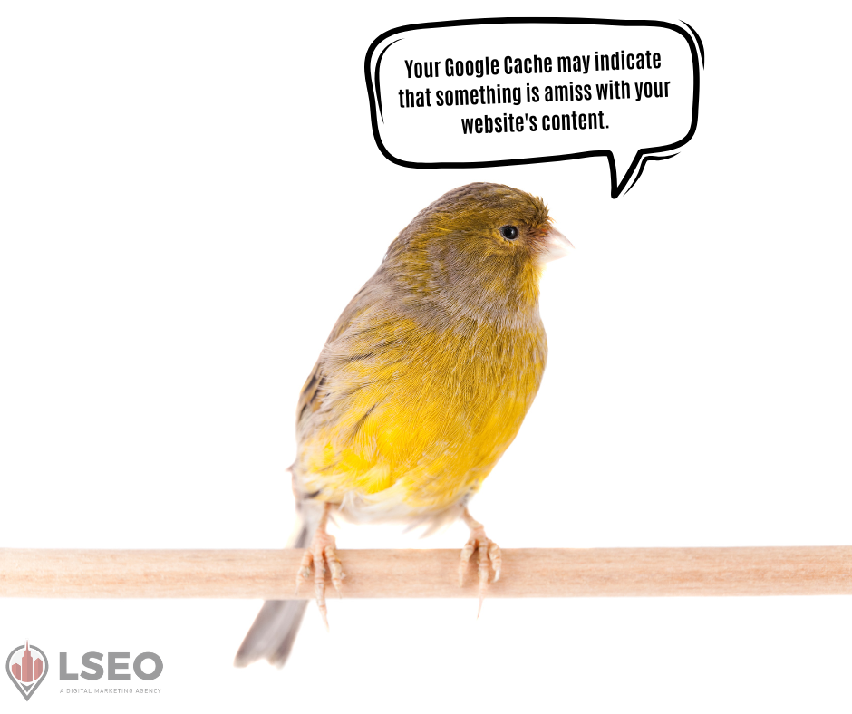 A canary talking about how Google Cache can indicate potential issues with your website content