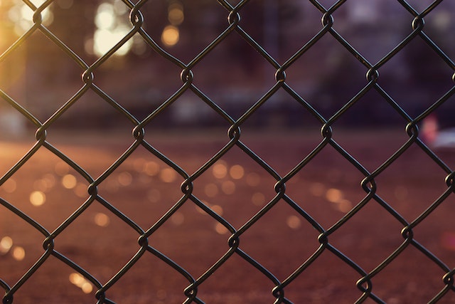 the links of a chain-link fence