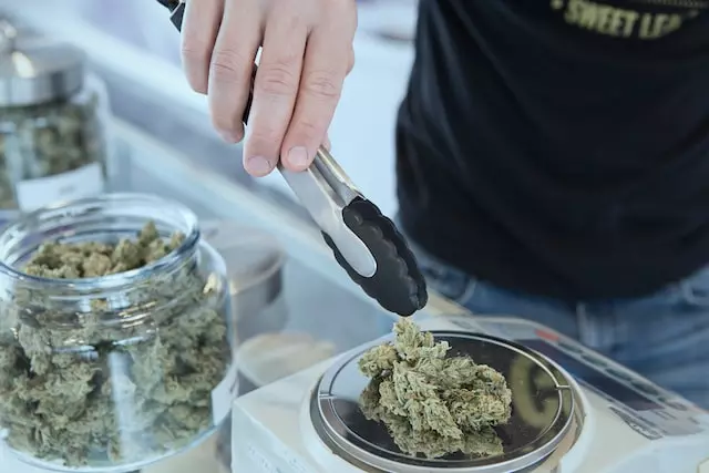 cannabis being handled at a dispensary