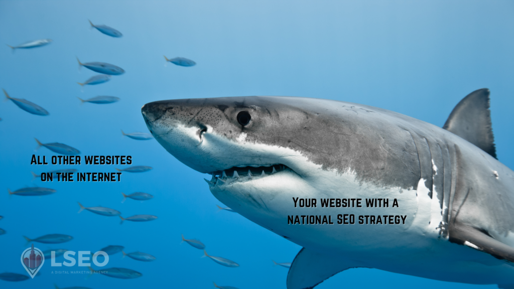With a national SEO strategy in place, your website becomes a shark in a sea of other websites
